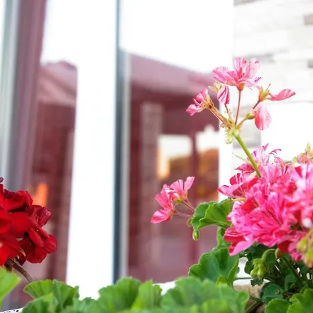 Hotel apartamentowy Spiridoula's Corfu *